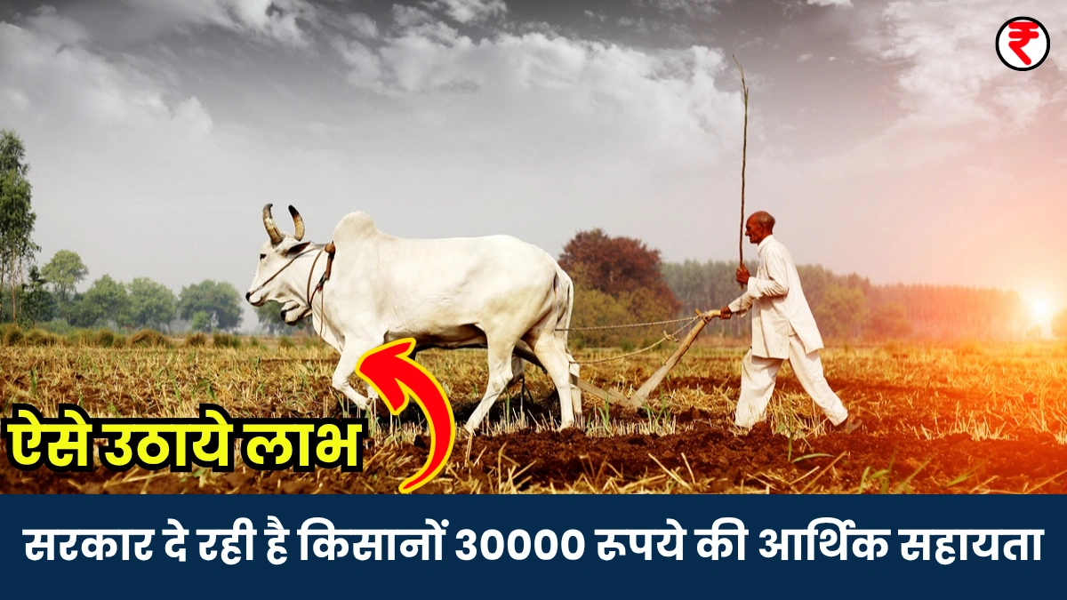 Agriculture Business Scheme